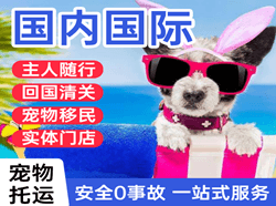 二连浩特机场快运国际宠物托运 【国